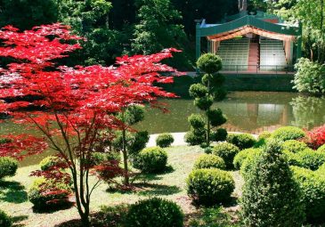 Le Potager des Princes, jardin d’exception au cœur de Chantilly
