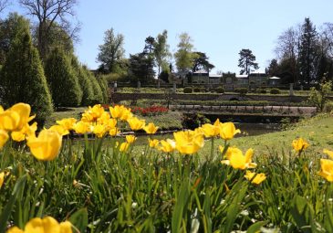 Le Potager des Princes, jardin d’exception au cœur de Chantilly