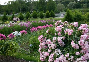 Le Potager des Princes, jardin d’exception au cœur de Chantilly