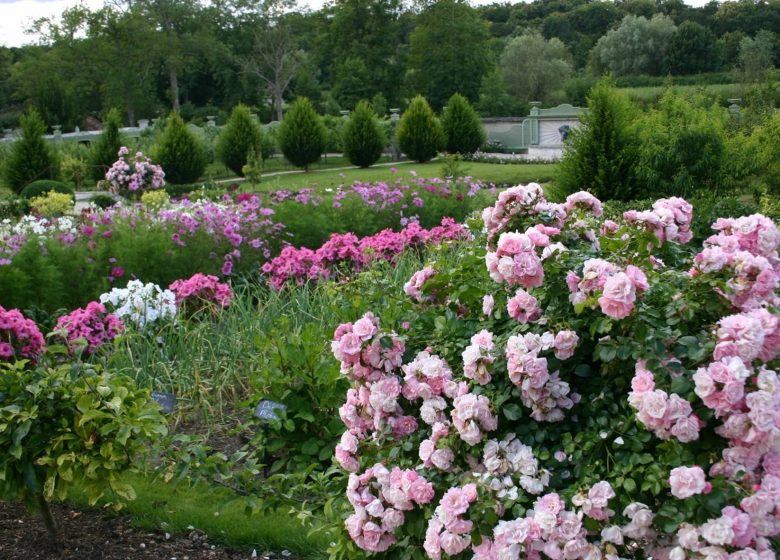 Le Potager des Princes, jardin d’exception au cœur de Chantilly