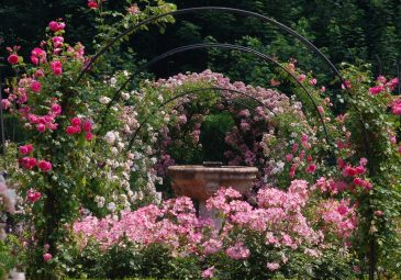 Le Domaine de Chaalis