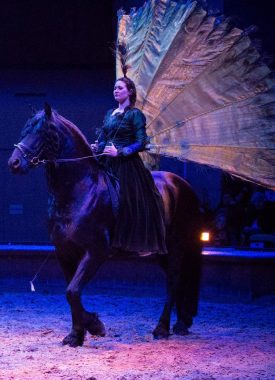 Spectacles et animations