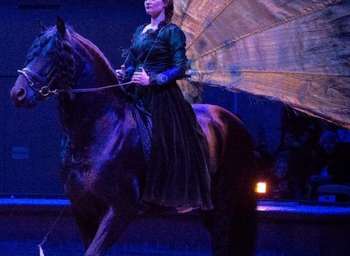 Spectacles et animations