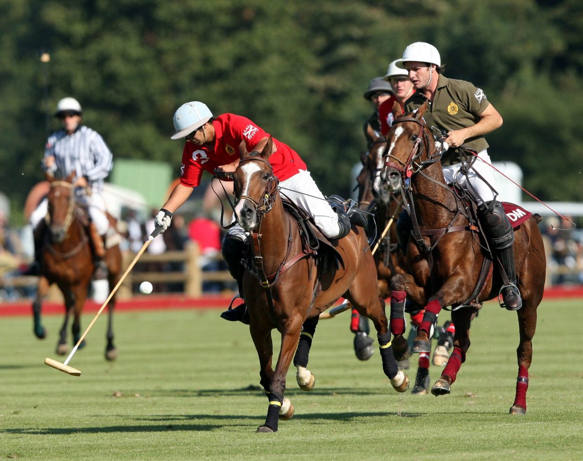 Le polo (sport équestre) - Royal Horse