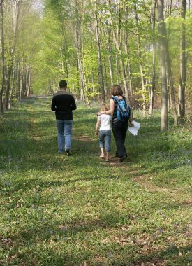 Parco Naturale Regionale dell'Oise Pays de France