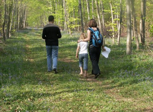 Regionaler Naturpark Oise Pays de France