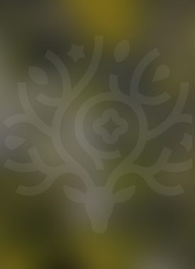 Les newsletters 2025