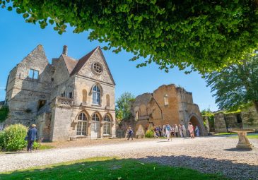 Sur les pas de Saint Louis