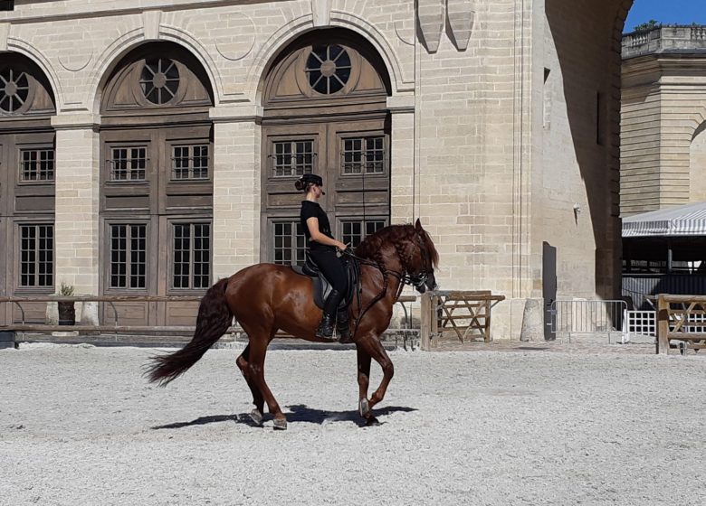 Découverte du château de Chantilly