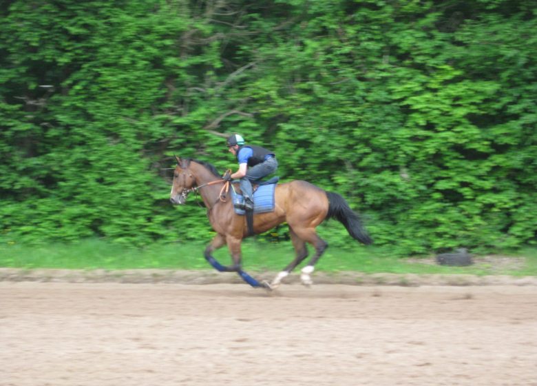 Exceptionnel ! Une immersion dans la capitale du cheval…