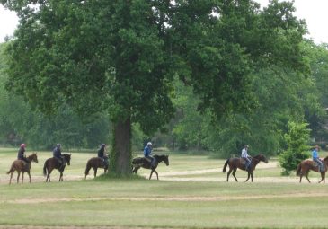 Exceptionnel ! Une immersion dans la capitale du cheval…