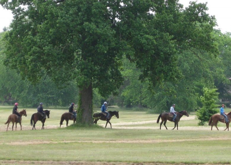 Exceptionnel ! Een onderdompeling in de capitale du cheval...