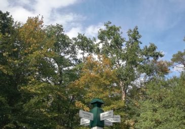 Randonnée en forêt de Chantilly