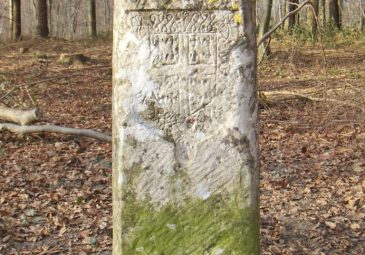Randonnée en forêt de Chantilly