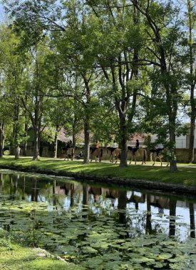 Equestrian Centers