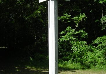 Découverte du temple gallo-romain