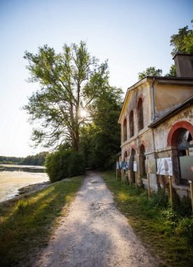 La forêt de Chantilly
