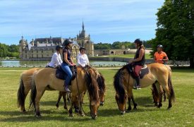 chateau la tour gouvieux Terre de cheval