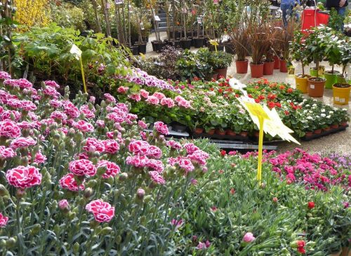 Salon du Jardin de Senlis