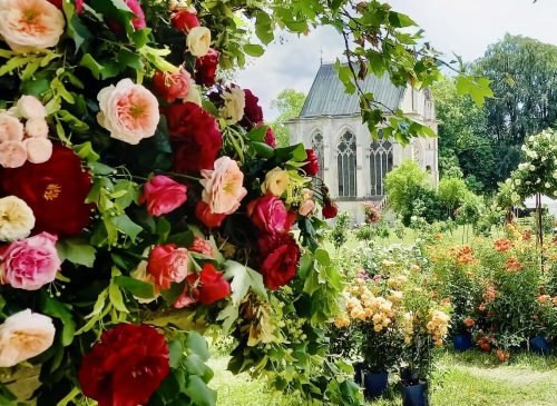 Rose Days at the Domaine de Chaalis