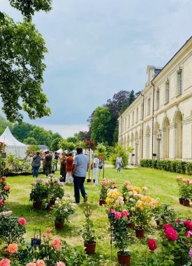 Questo fine settimana