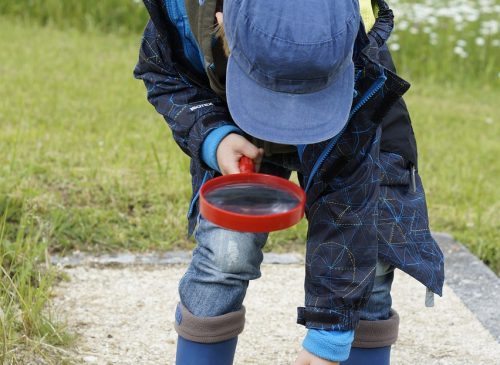 Juegos de pista y caza del huevo