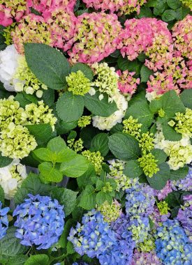 Maak je tuingereedschap klaar! 