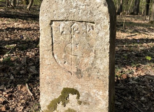Conte Musical « La Nuit du Carnaval » au Campus des Fontaines à Gouvieux