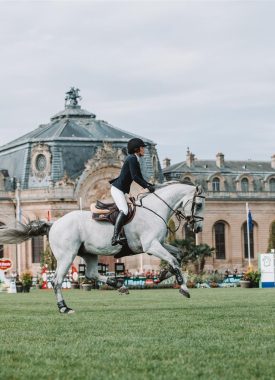Chantilly Classic