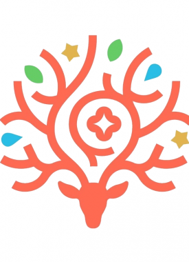 Les newsletters 2024