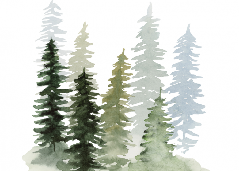 Atelier aquarelle d&rsquo;hiver