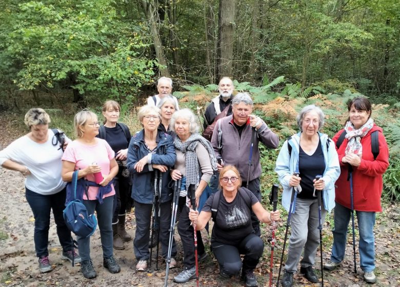 Grande randonnée à Coye-la-Forêt