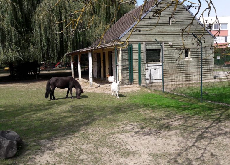 Plaine de jeux et mini ferme