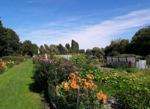 Sentier des Faubourgs de Senlis wandelrally