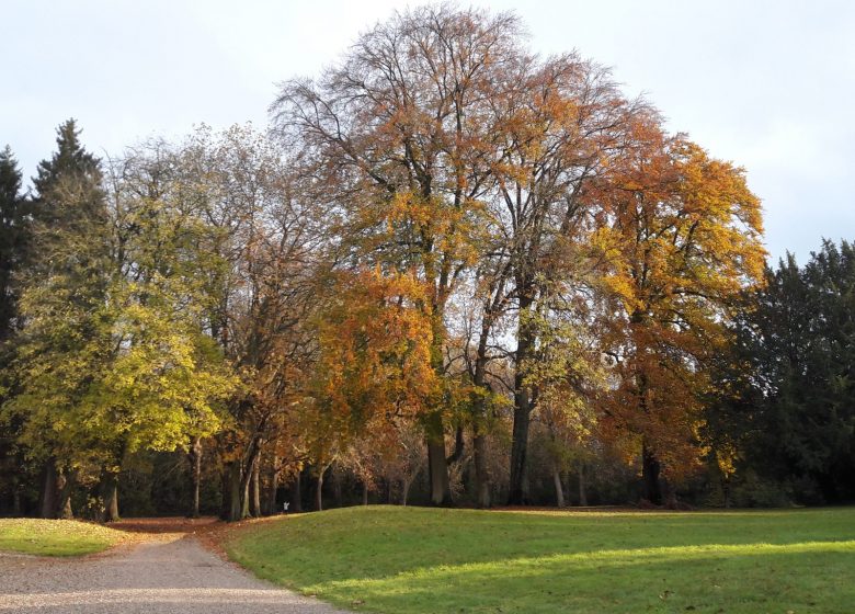 Parc et Roseraie du Domaine de Chaalis