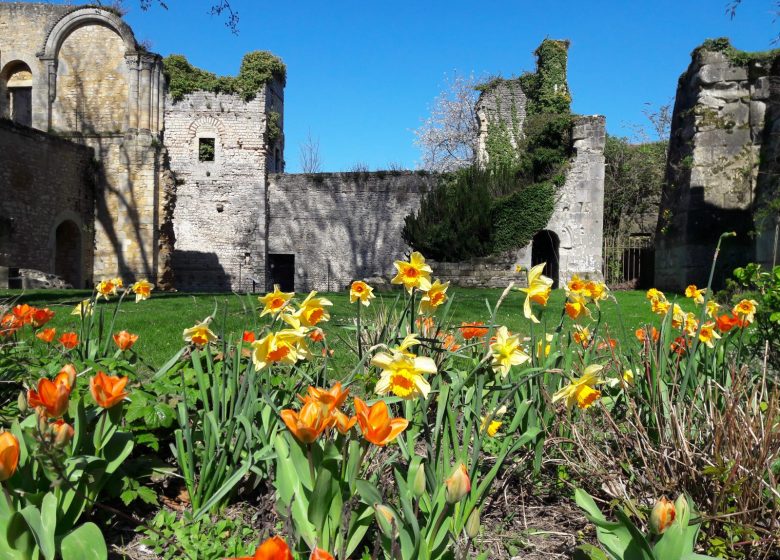 Parc et vestiges du Château royal