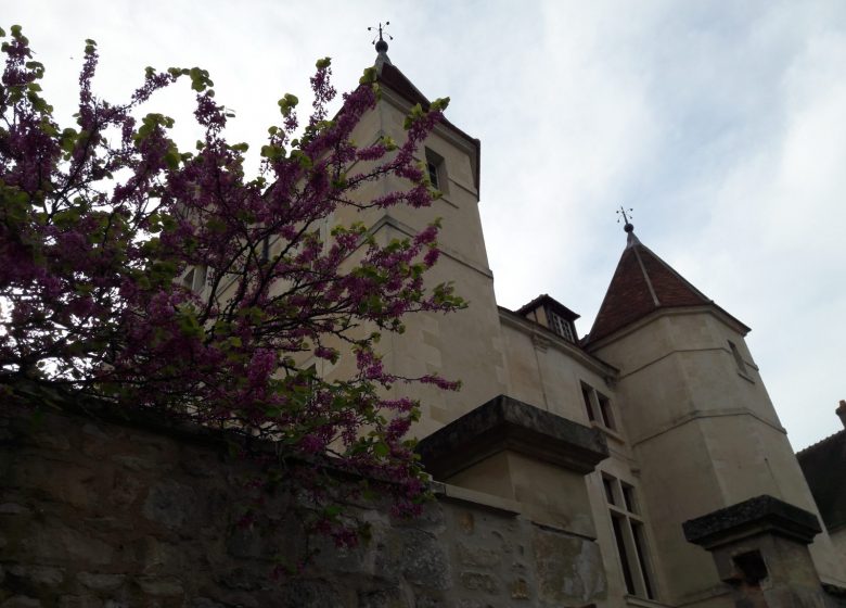 Les hôtels particuliers de Senlis