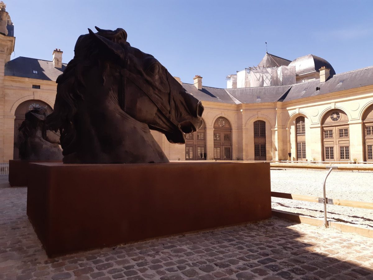 Living Horse Museum - Grandes Ecuries du Château de Chantilly - Chantilly  Senlis Tourisme