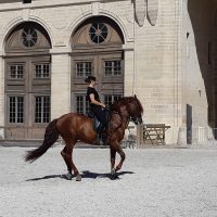 Musée vivant du Cheval – Grandes Ecuries du Château de Chantilly