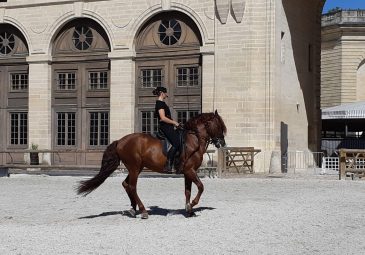 Musée vivant du Cheval – Grandes Ecuries du Château de Chantilly