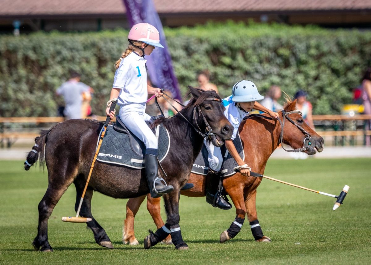 Polo Club of the Domaine de Chantilly - Chantilly Senlis Tourism