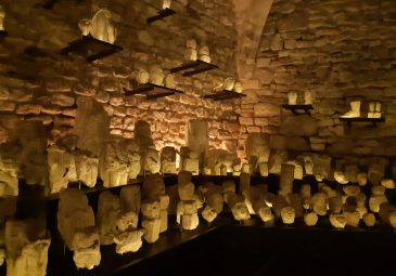 Musée d’Art et d’Archéologie