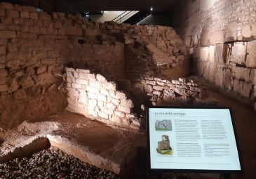 Musée d’Art et d’Archéologie