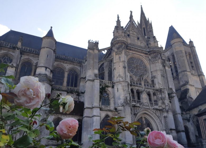 Fermée temporairement - Cathédrale Notre Dame de Senlis