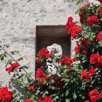Visite guidée « Senlis à la jumelle, une découverte insolite du patrimoine »