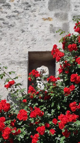 Visite guidée « Senlis à la jumelle, une découverte insolite du patrimoine »