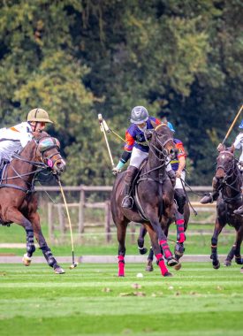 Polo Nations Cup