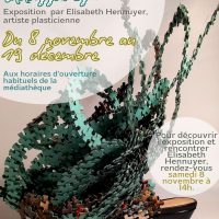 Exposition « Tout un monde de chaussures » à la Médiathèque de Vineuil-Saint-Firmin