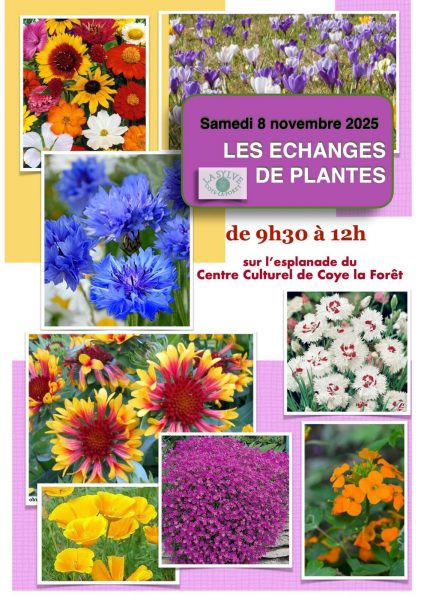 Echange de plantes à Coye-la-Forêt