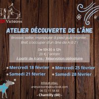 Donkey discovery workshop in Chantilly